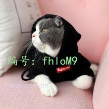 ޿